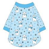 Chilly Bears - The Raglan Jersey